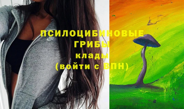 mdpv Верея