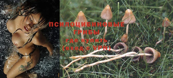 PSILOCYBIN Верхнеуральск